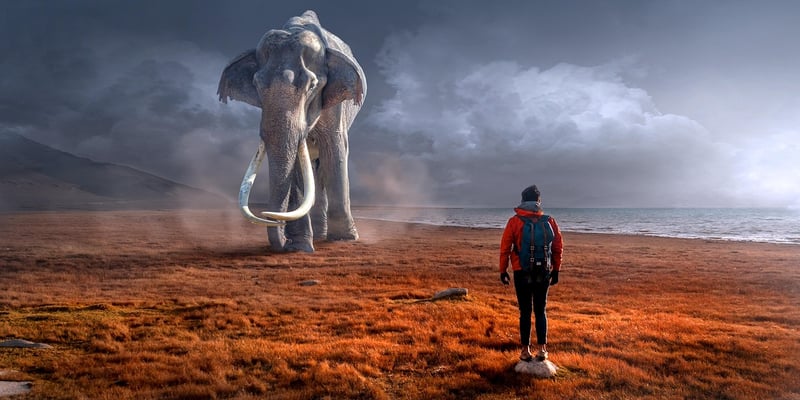 Surreal Fantasy Parade